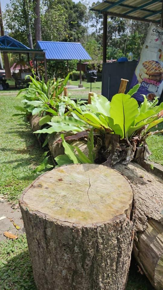 Gandah Forest Park Chalet Lanchang Esterno foto